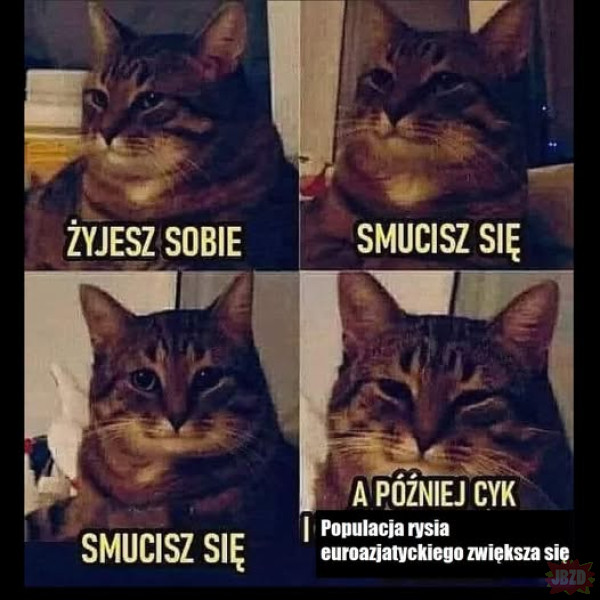 25ebc2f9-29d9-4193-833e-b12f0070ec53