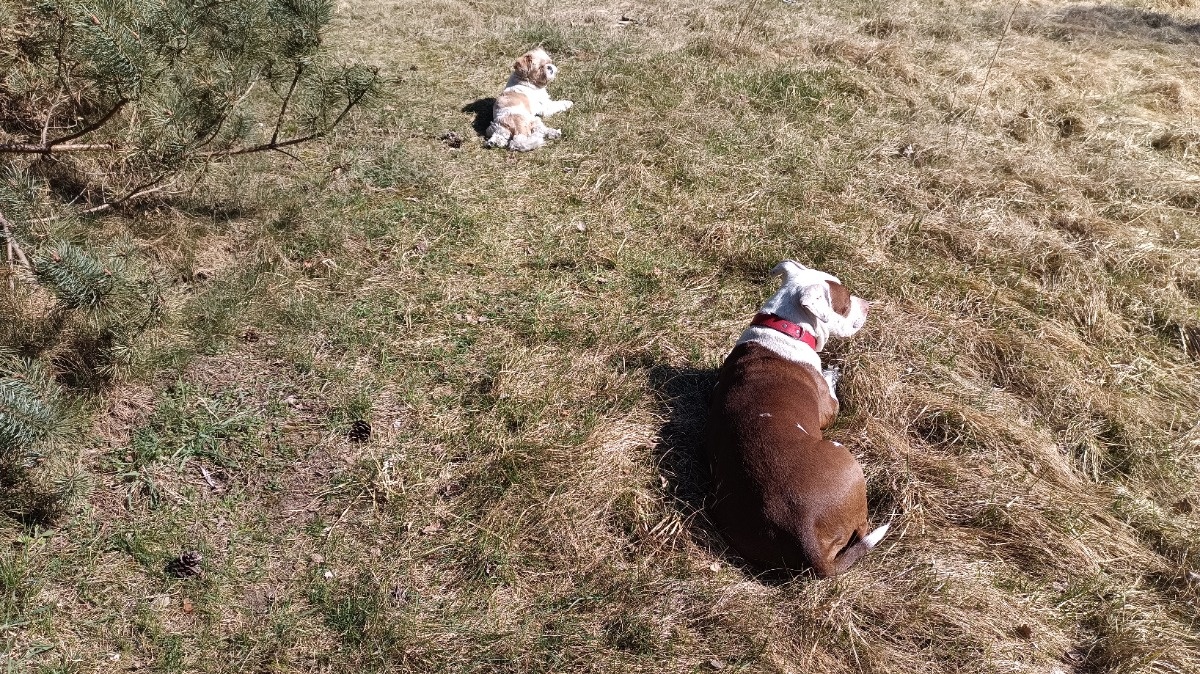 b09a22a3-5b3d-48ac-b55f-88aa83178857