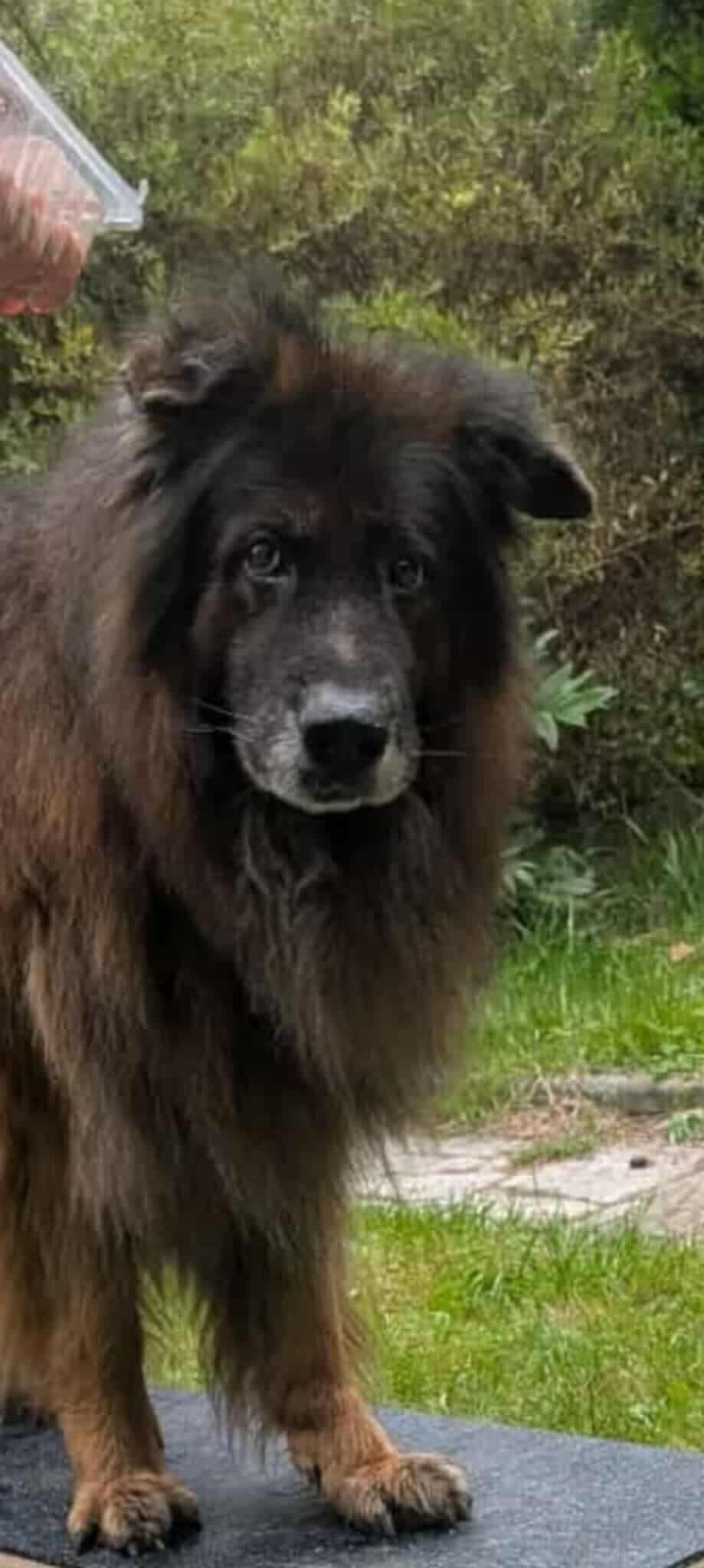 26949dde-6e0a-4e0d-ab20-f4e2bbff6cdc