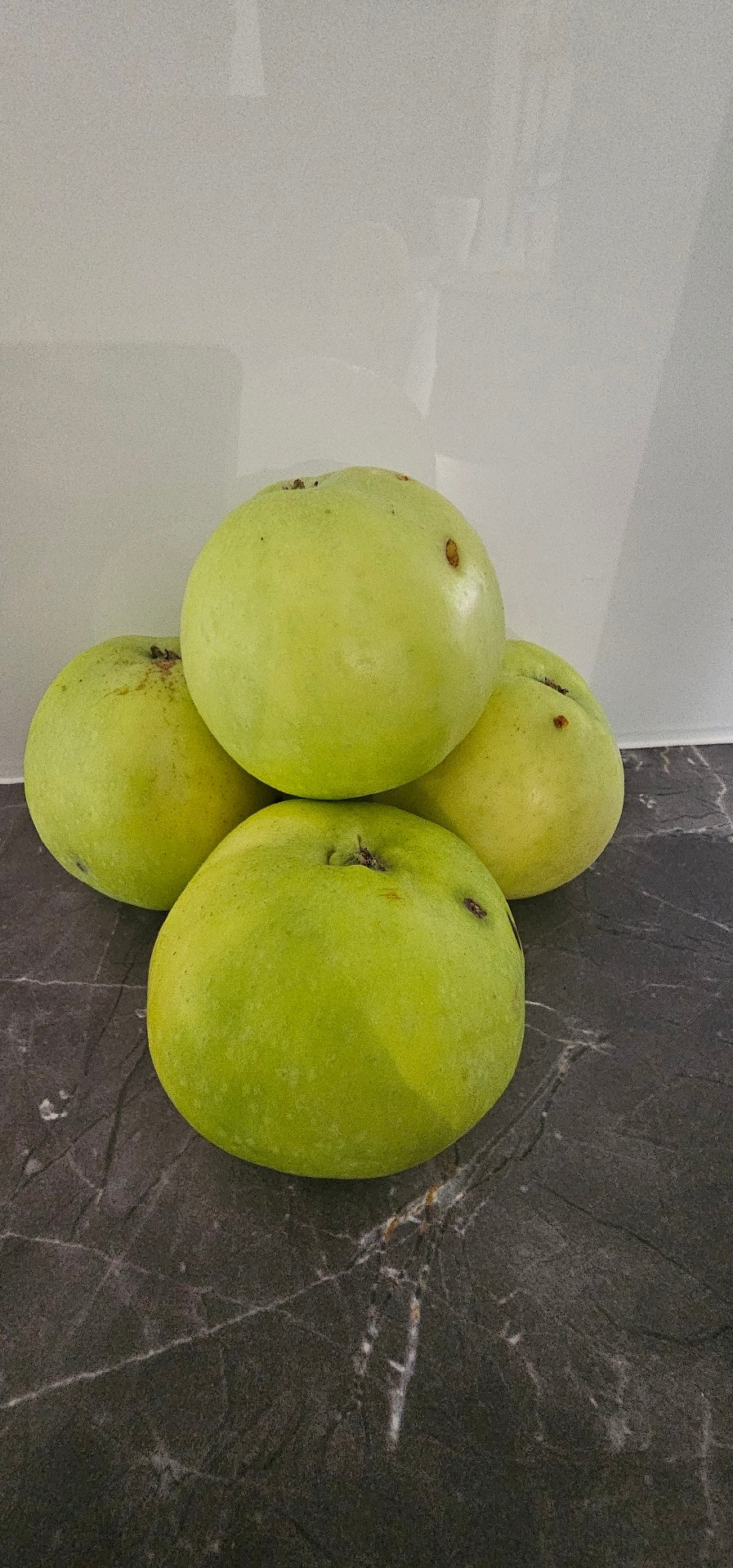 90145567-1c28-4fcf-8b3b-0c883f86a611