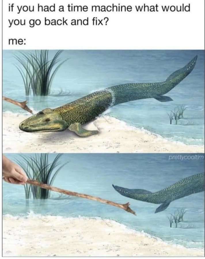 c1ba844e-9656-4e36-b760-f31e6e48ba63