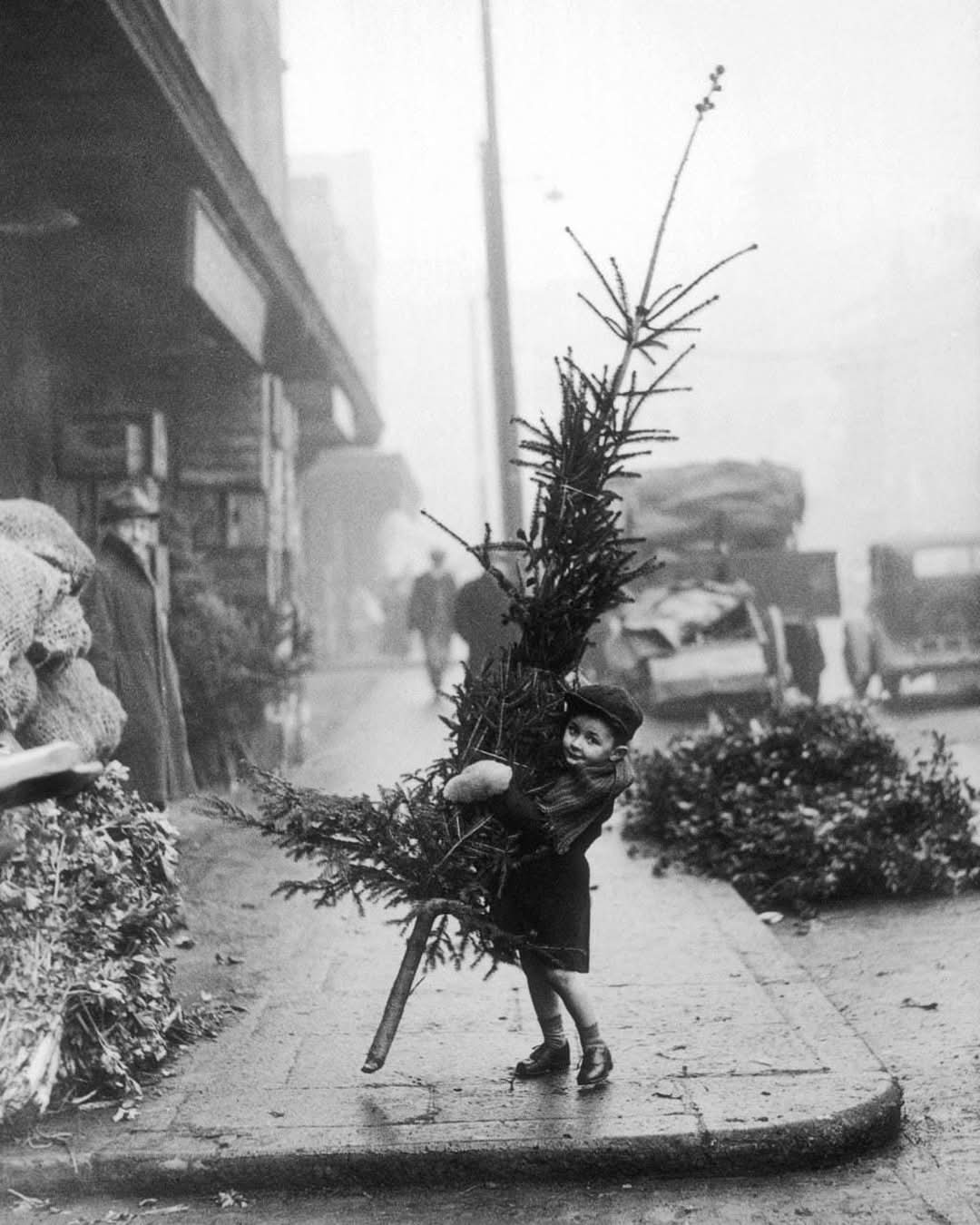 3a059fd9-bd51-4b57-96ef-4299ccdbe775