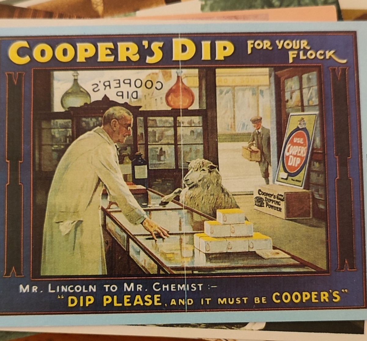 19b315ca-558a-43c5-89af-2b5845e9ac17