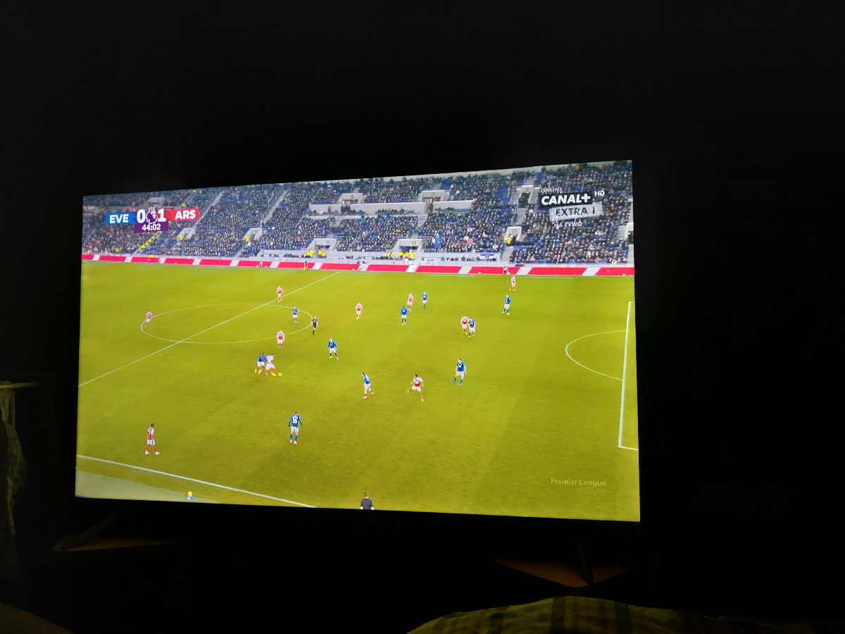 13a1cc46-9473-4f5c-a6bc-585f3a9c1b16