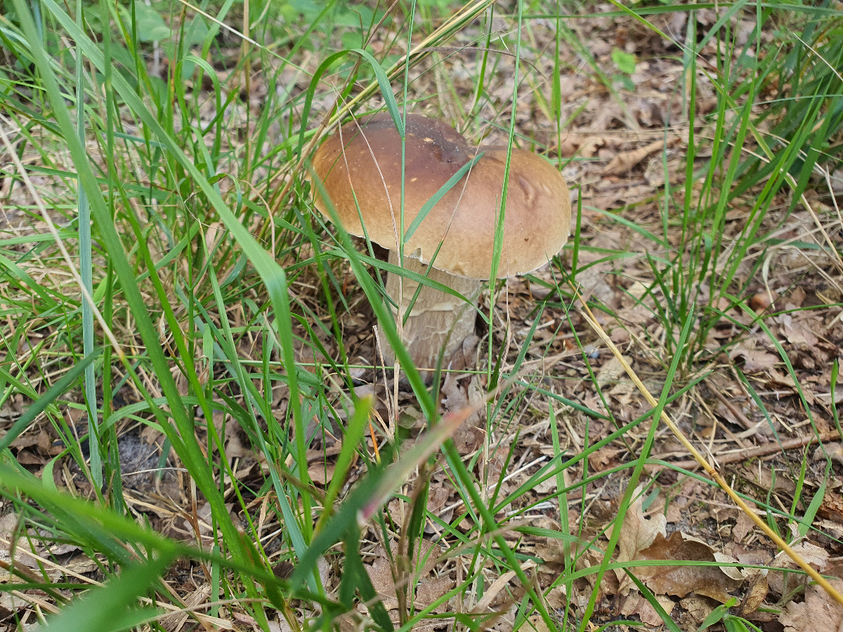 86e50c1e-c7ec-41bd-ba1a-3422077eaca7