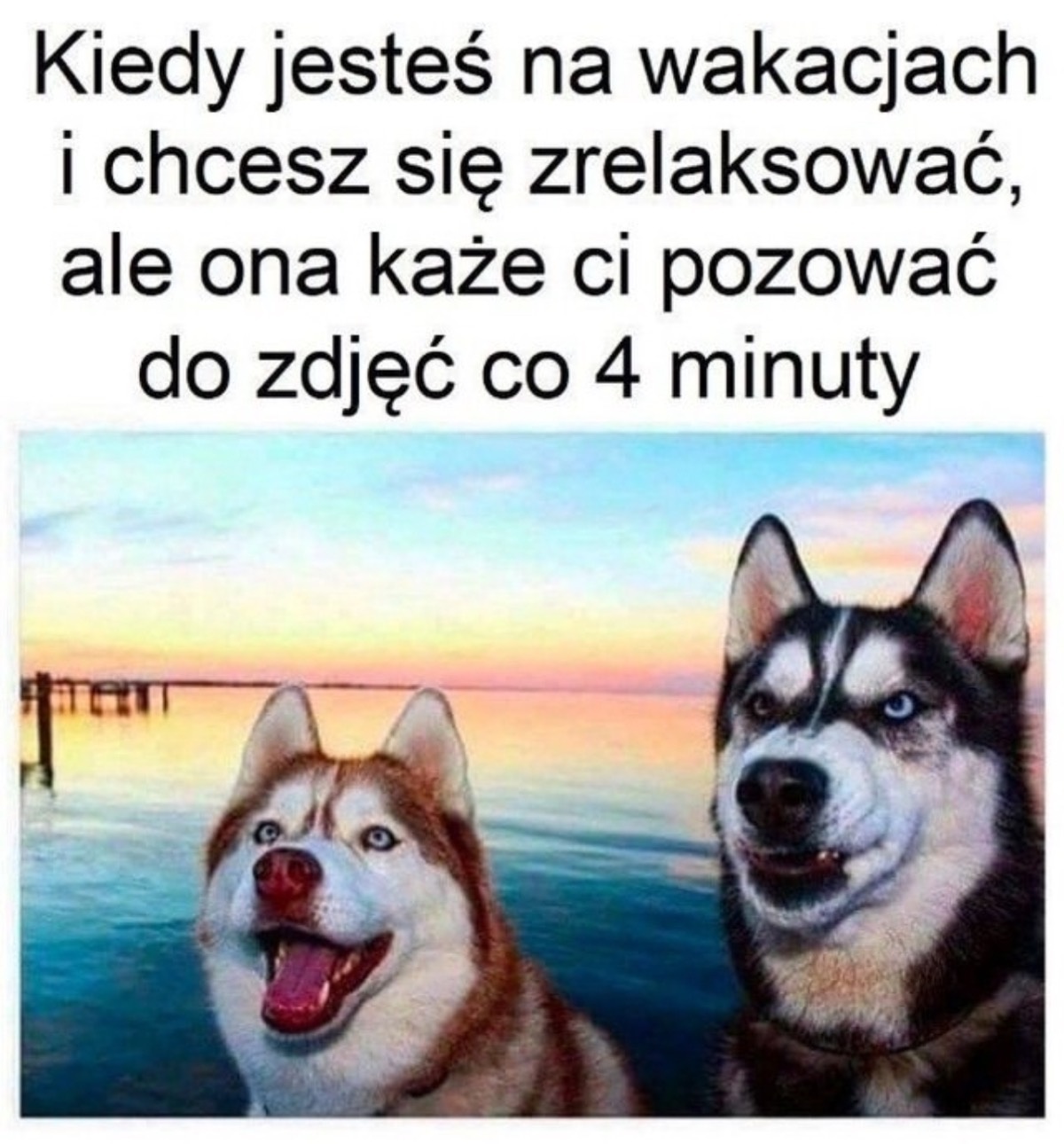 0738cb3c-086a-4c27-a00d-7df7fd0f714e