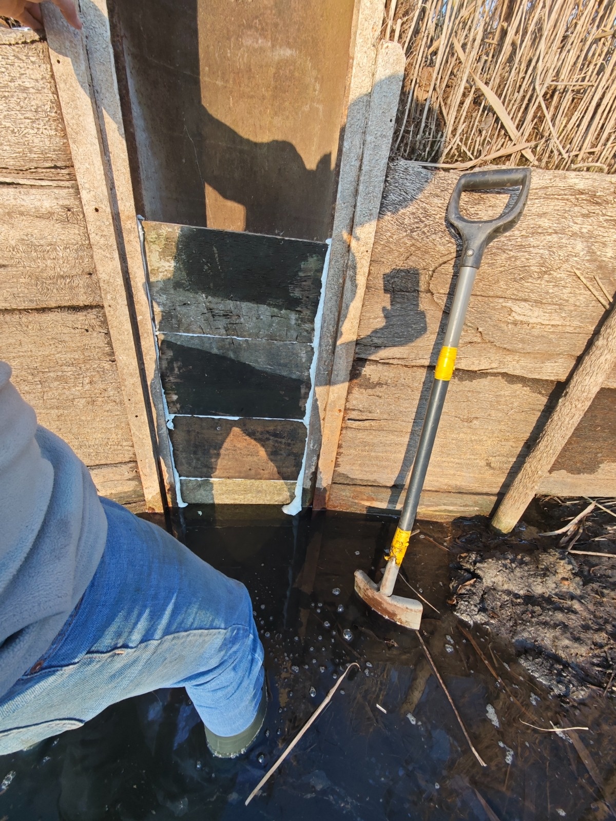 2404feb4-5685-42e9-8836-13ed87262ea5