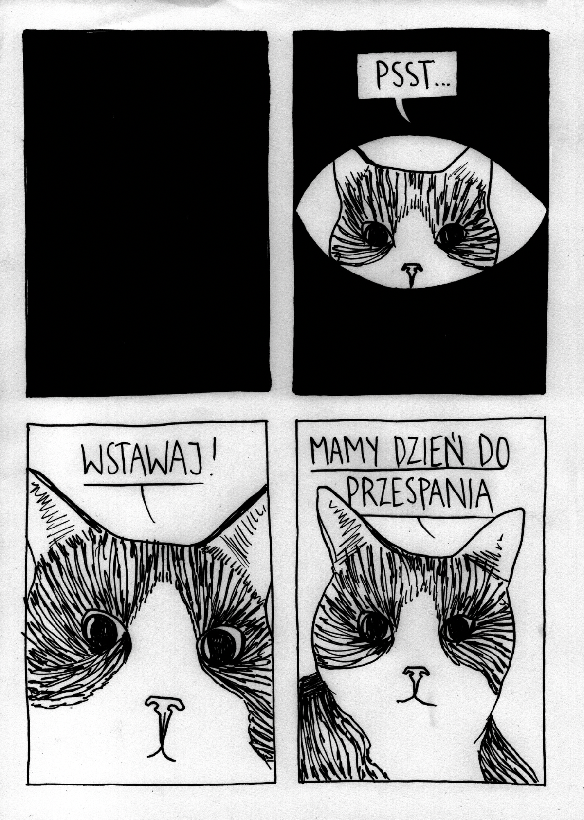 36a6905f-08c0-4ae6-977f-f95e8eb3383a