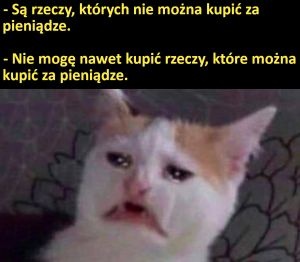 43011f8f-5a20-4cba-a739-c9b240d2ade5