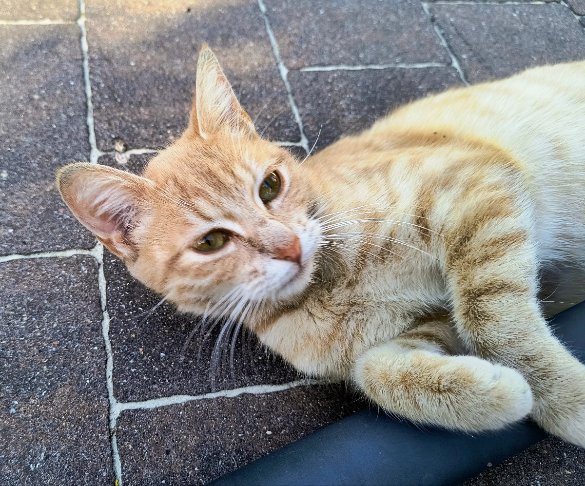 895b91e5-cc4e-45ac-9076-9528b22626af