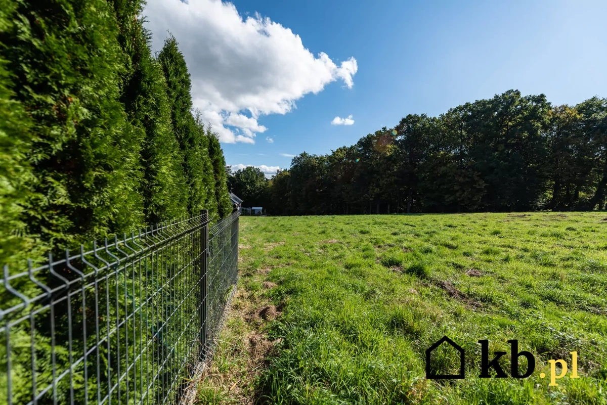 Sąsiad chciał odebrać mu działkę przez zasiedzenie. Teraz ostrzega innych właścicieli