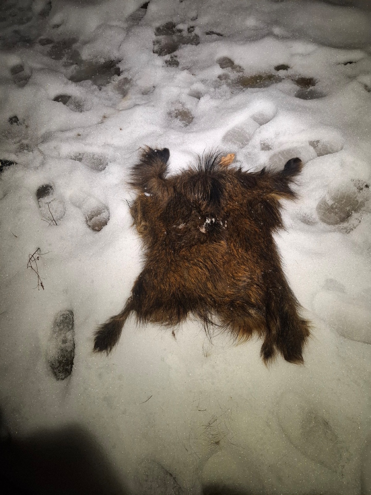 814e746c-ea07-458c-9b3f-d64a4b1289c4