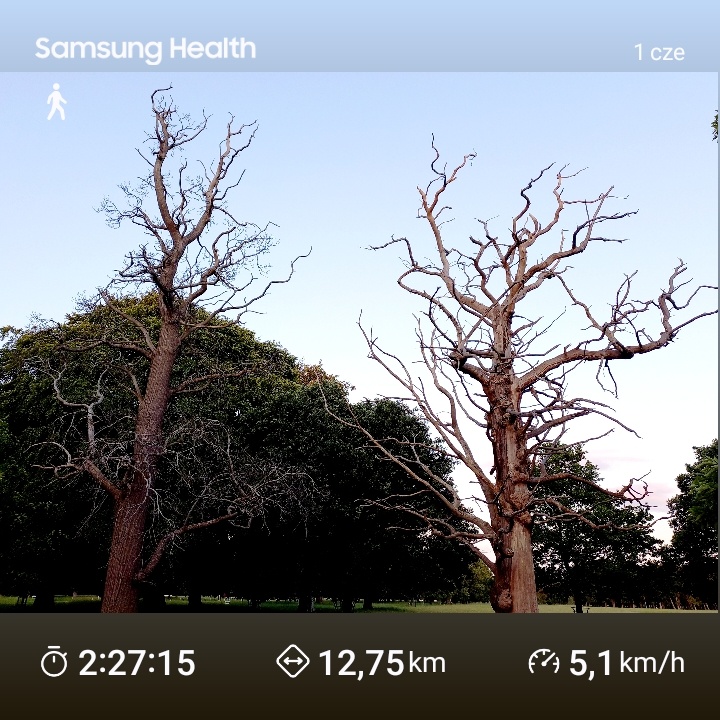 544a5b50-4c5f-4c60-8e63-4def5ebe05cc