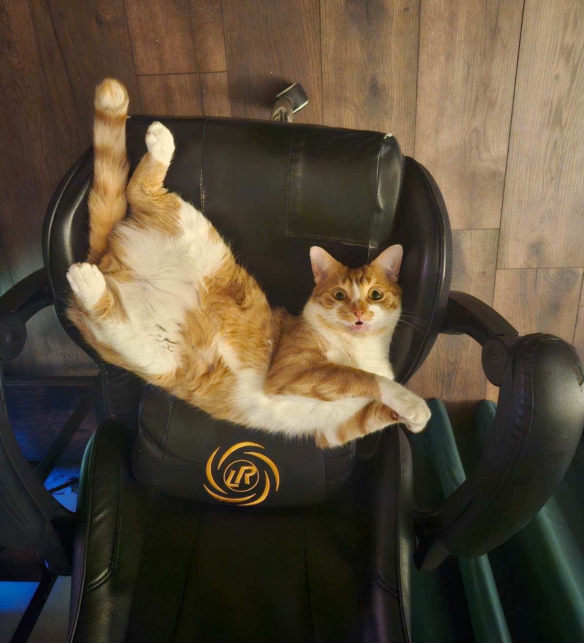 c8e67cde-57ab-4677-aef2-94fac8f74fe8