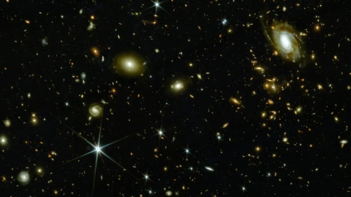 5d3b0803-ca1e-4f1d-ad94-f7ef8bc8b4a2