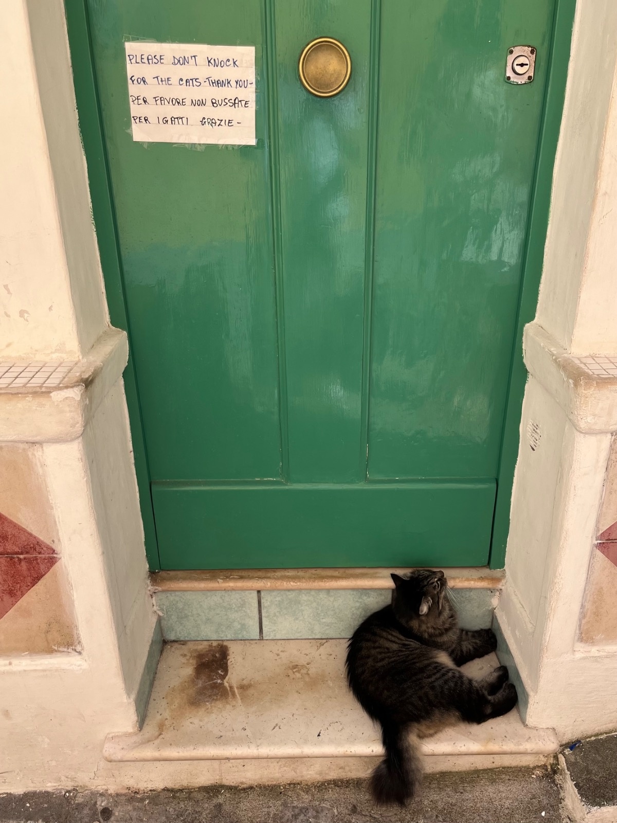 6e5ee2ce-94f9-41fc-9b6c-41c337cb86da