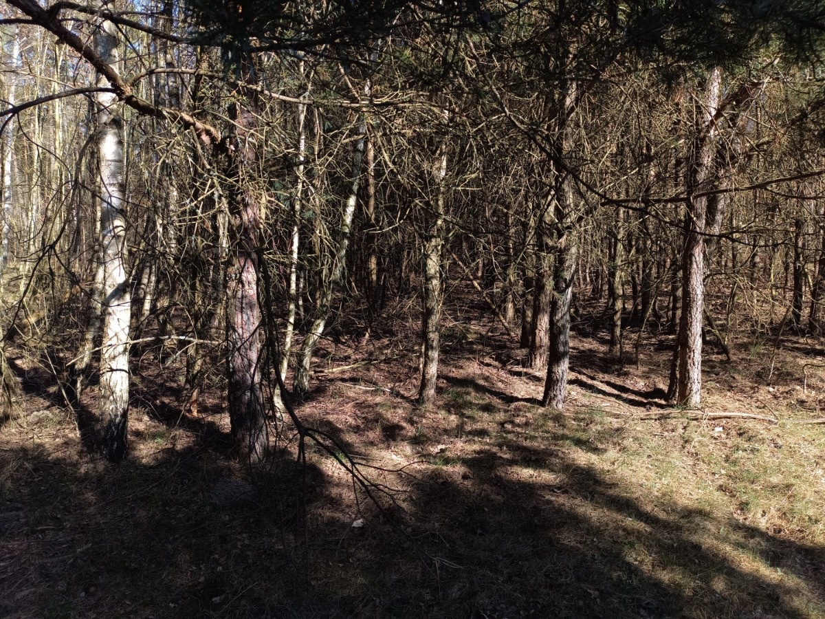 2b9dea5c-9831-4920-89ce-4bc52d2e120f