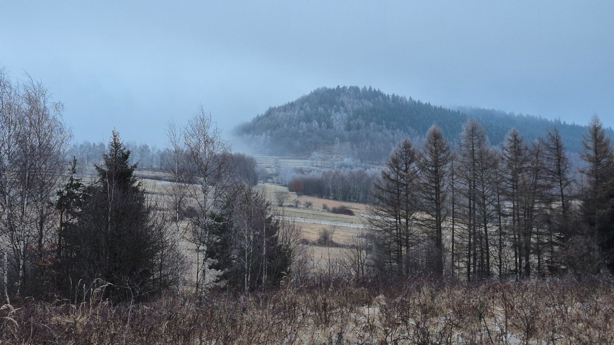 960c2c9d-024e-4e25-b62f-dc9a1b559370