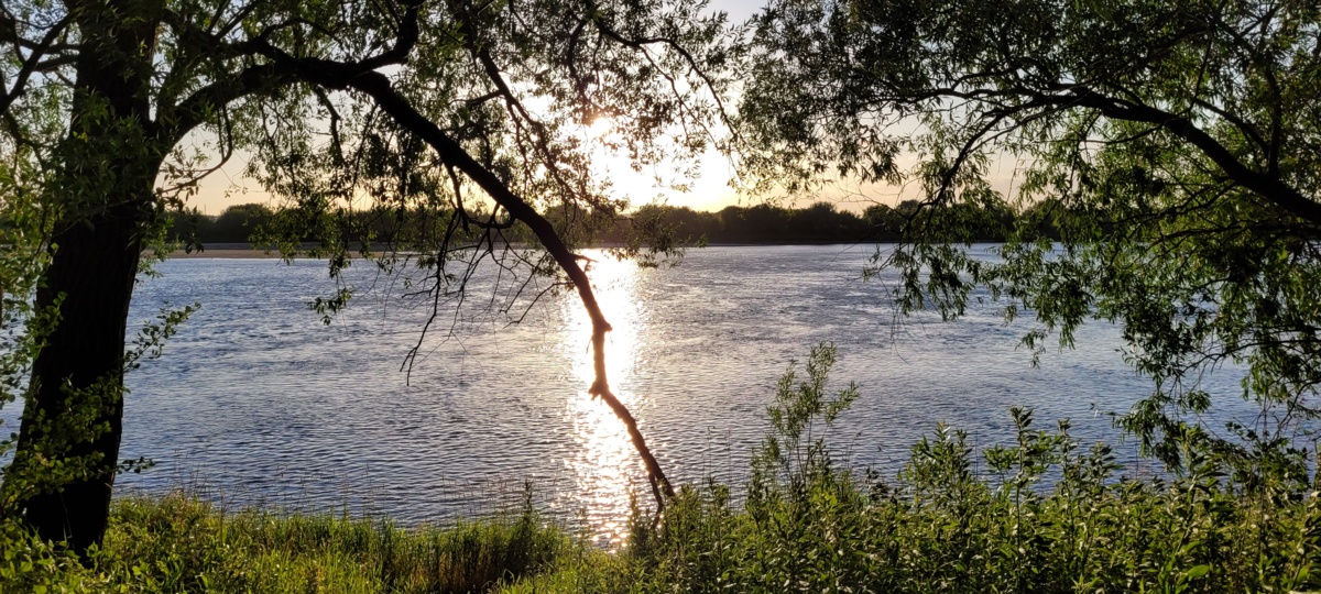 7094e35a-f69c-440f-b11d-ee1e94bd3a63