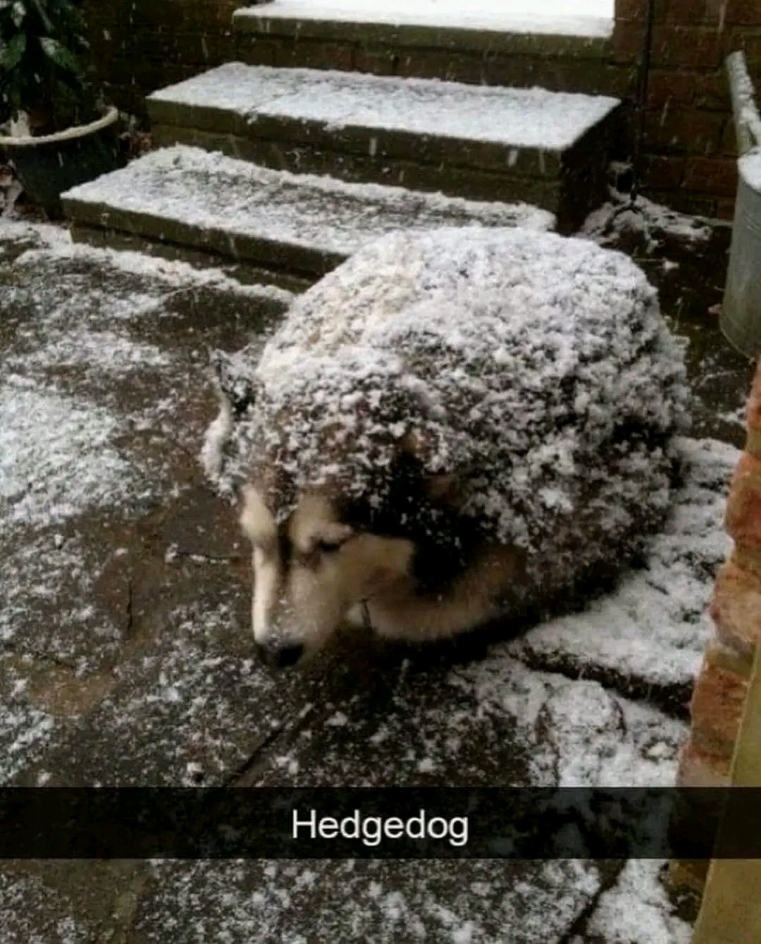 e8f2b4a5-1cfb-4c2c-8dd9-ec43d11fa8e3