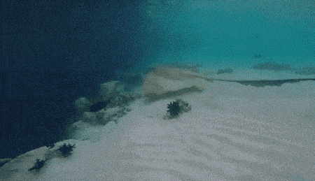 0539a5b3-5237-4636-a753-63b7fc8cfde7