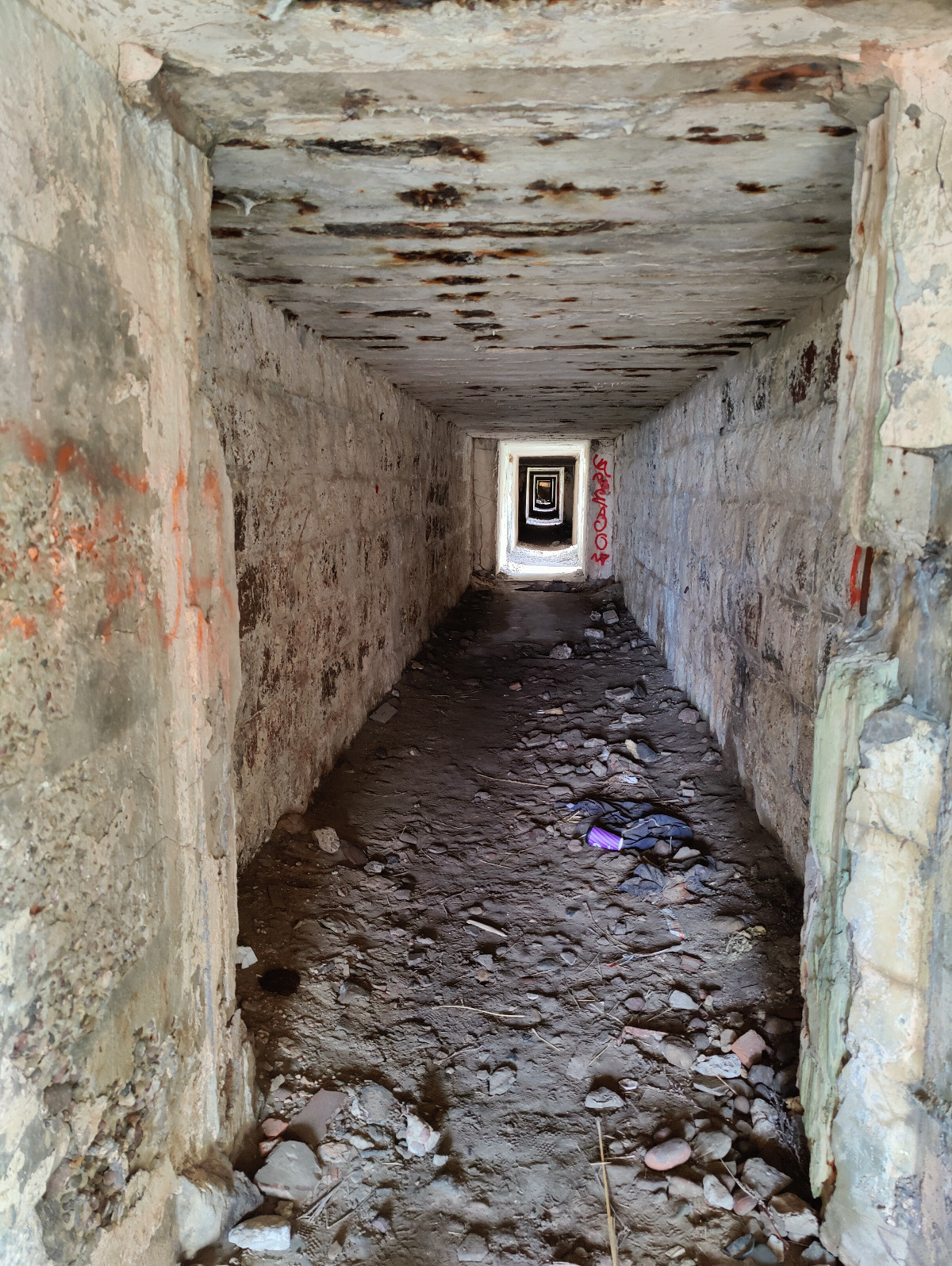 IMG20260531120400.jpg
