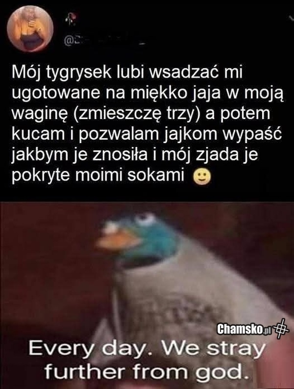 3cd3cb0d-0424-42dc-acb5-5d1858ed28c1