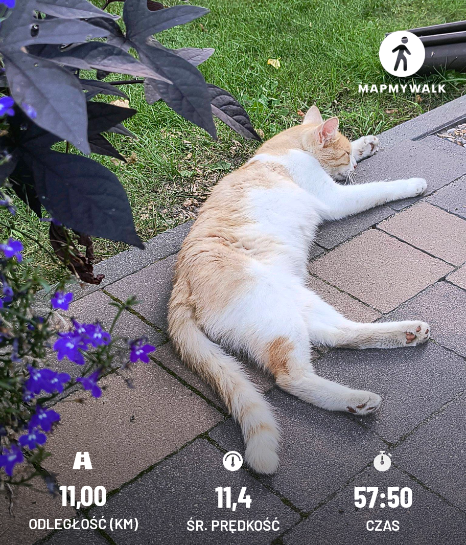 1c970e6c-ab89-40ba-940f-b6274f047f62