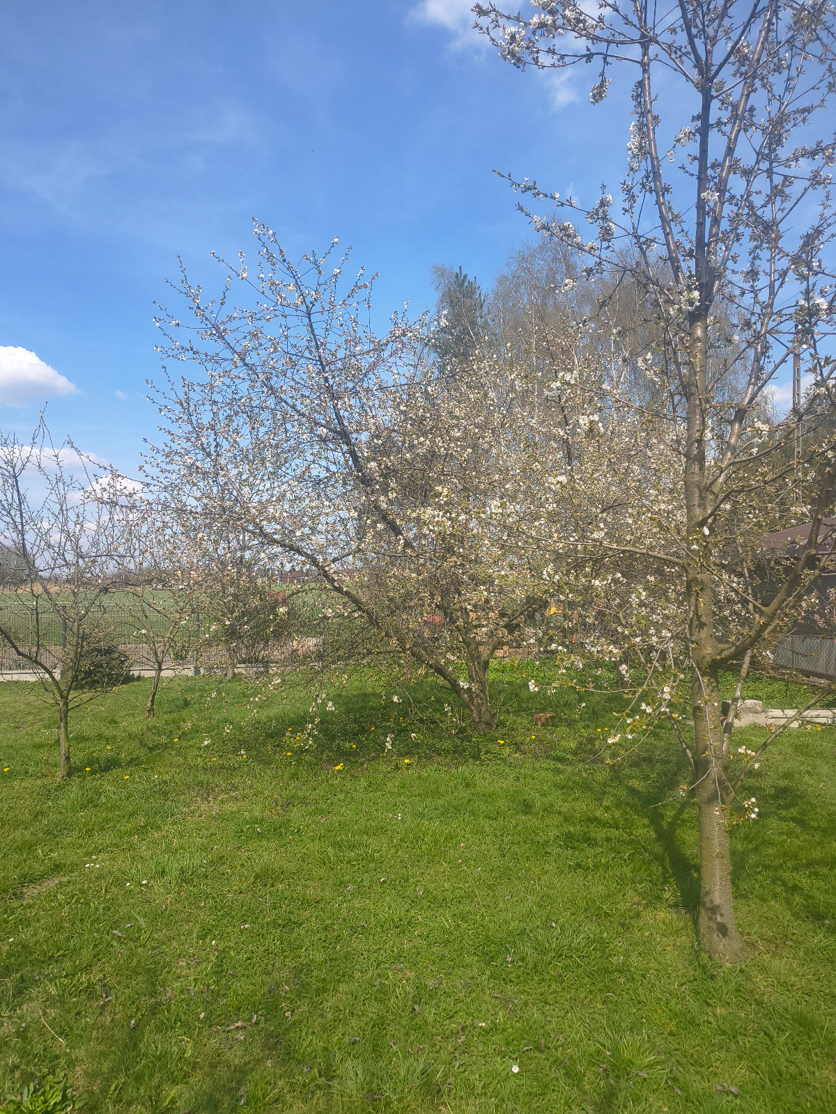 33c92103-d064-47b1-9c00-0399249fced3