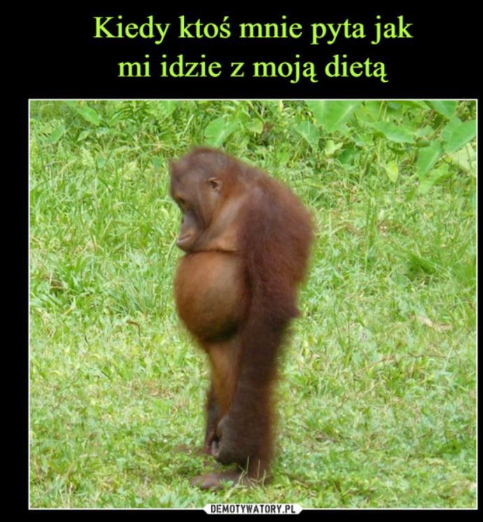 eb5615db-20ec-4caf-907c-406101264ad8