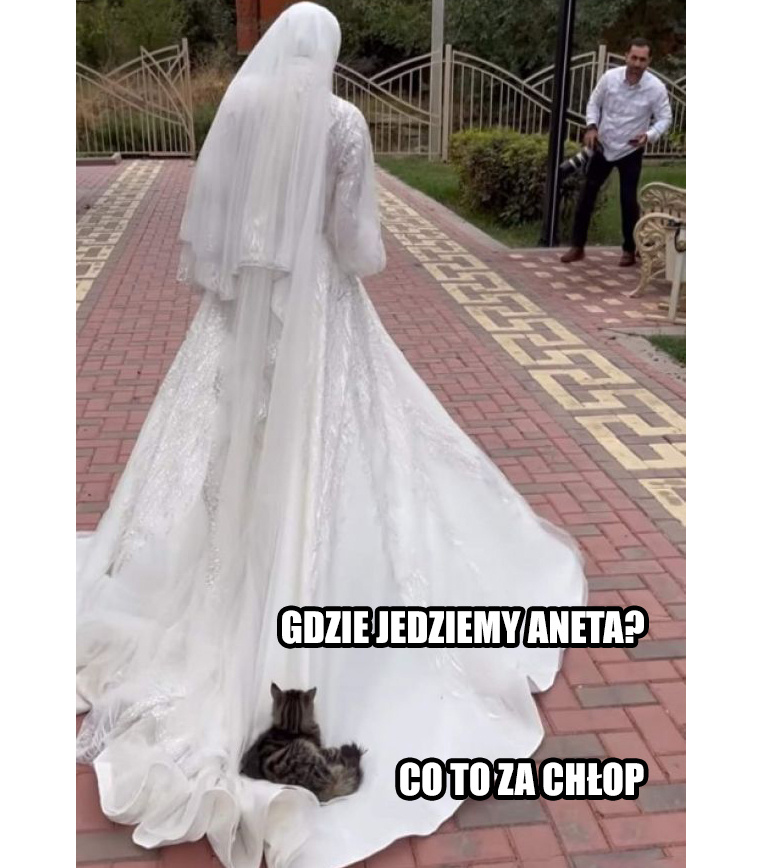 1bf8c853-2ba0-4bee-b8c4-c74bba631f4d