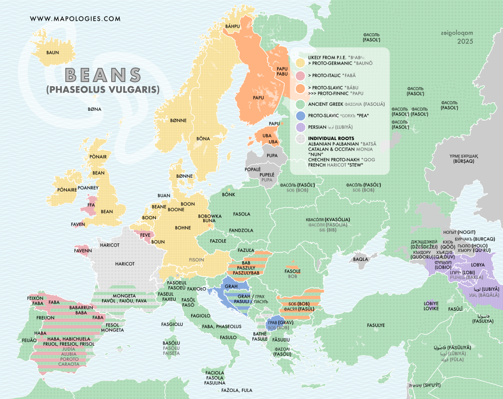 4e43a0ec-e216-4b3b-b394-c3531183ab95