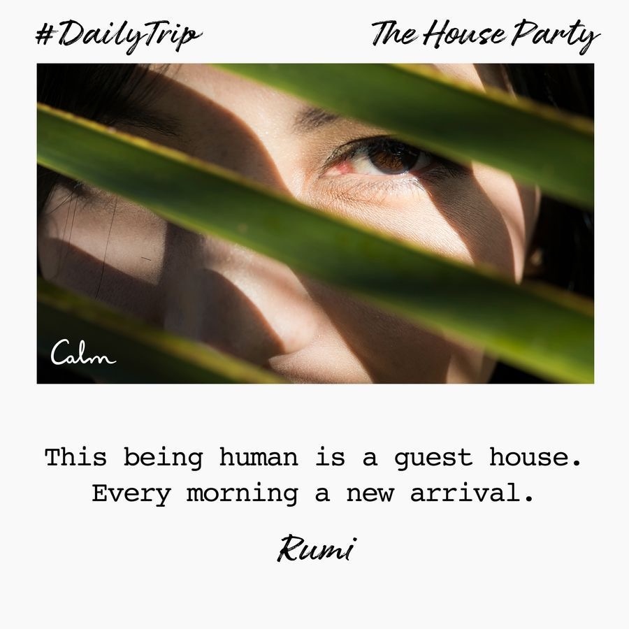 d2bf5f8f-2a04-4710-a691-5d4118a331fe