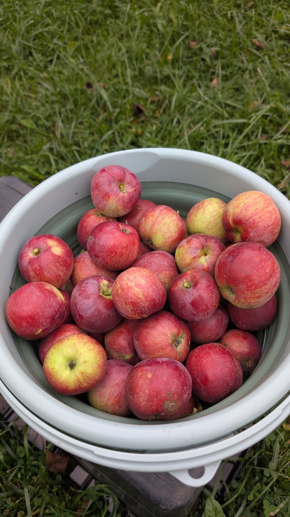 6fae21ec-c670-45b3-87f4-a6b859e39ba5