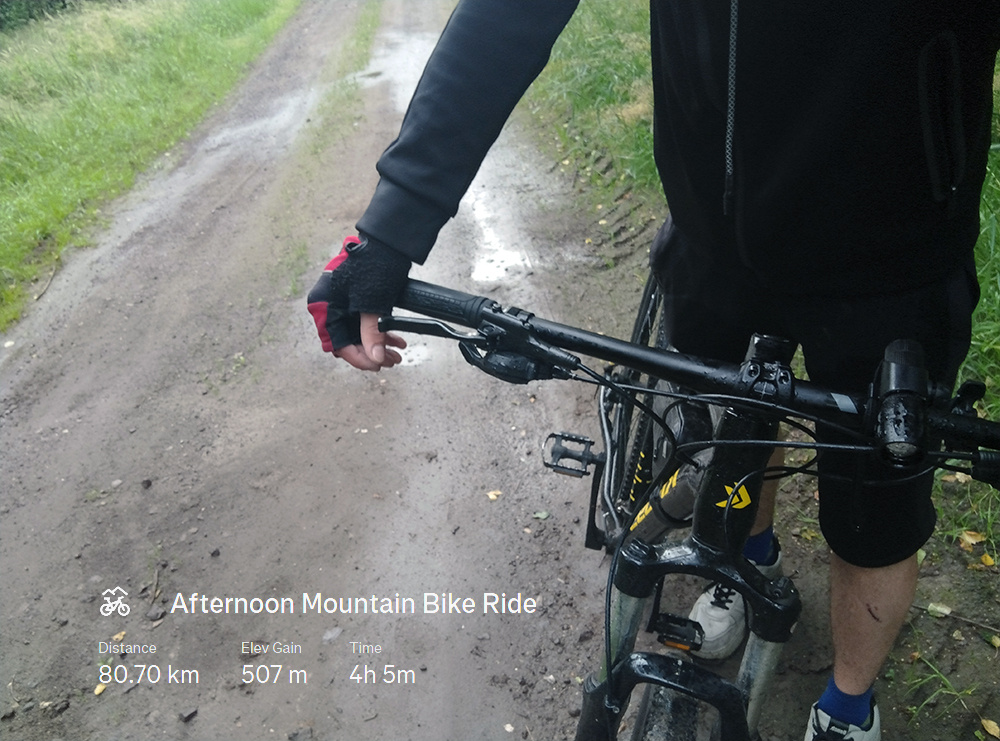 98e58a54-f87c-4835-82b0-925f5bbdd670