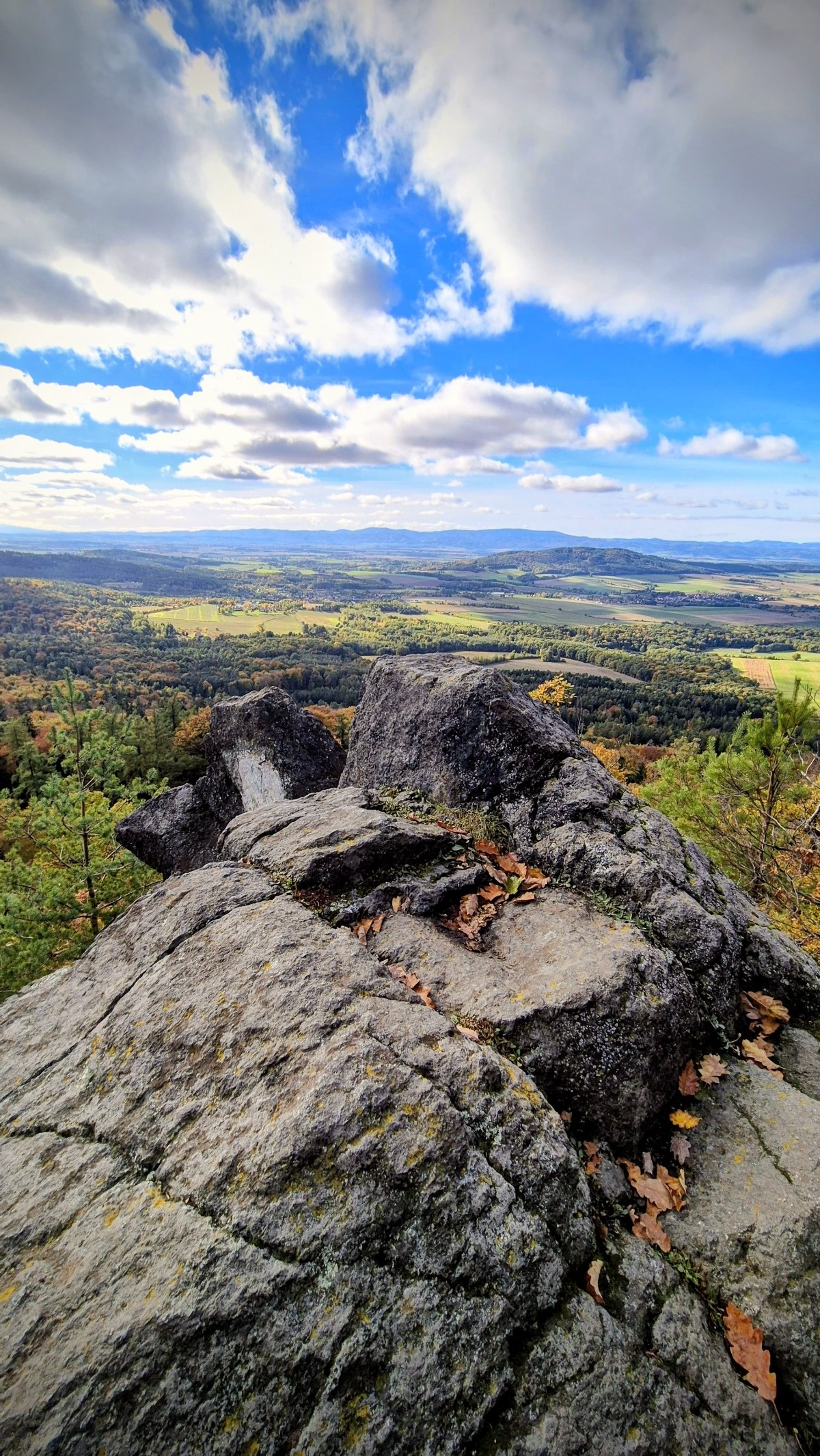 56de3b4d-0f7f-41e3-a7de-96d735a3c0bd