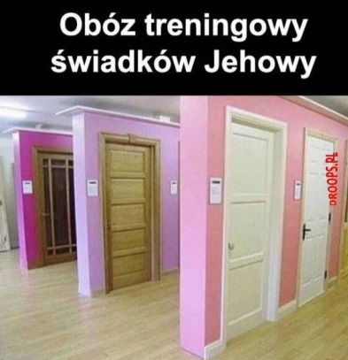 50802bb8-5f33-4000-9431-54e630529408