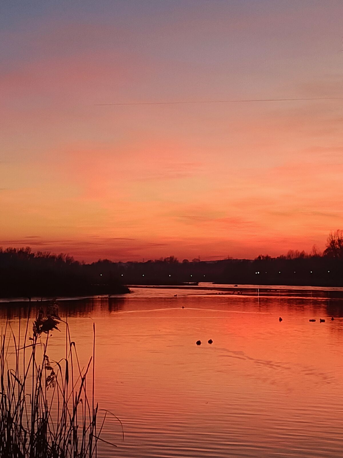 dd9f5991-1fd2-4025-bb83-2660f60e4ac4