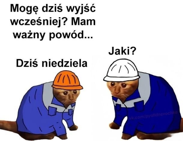 f2302b33-e3e3-41a8-b340-1237c8c3d3b1