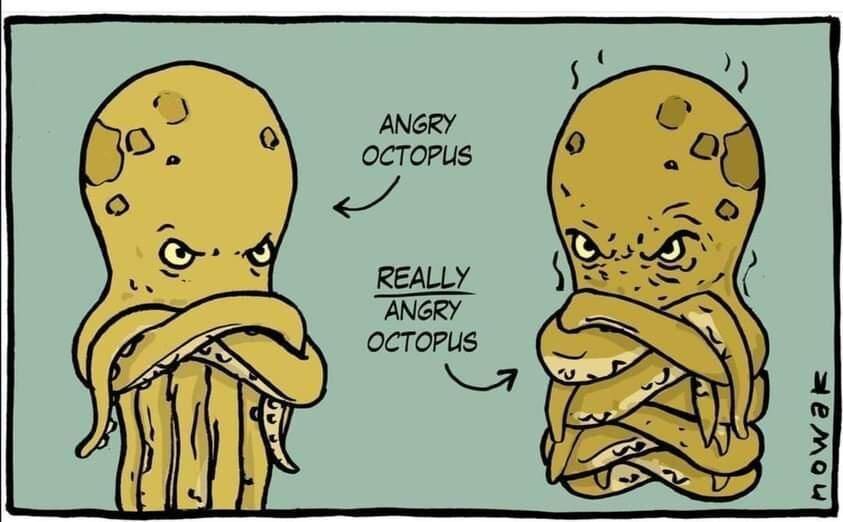 a21ec339-5490-4576-9785-d291a28d7037