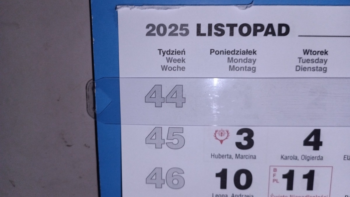 031a77b7-e8bb-4817-8cb9-1fda2eef6a10