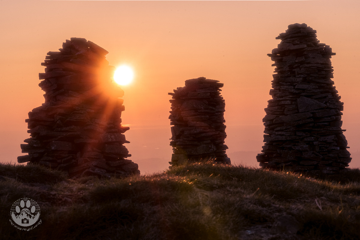 43796b07-6afe-490b-a688-72158a822570