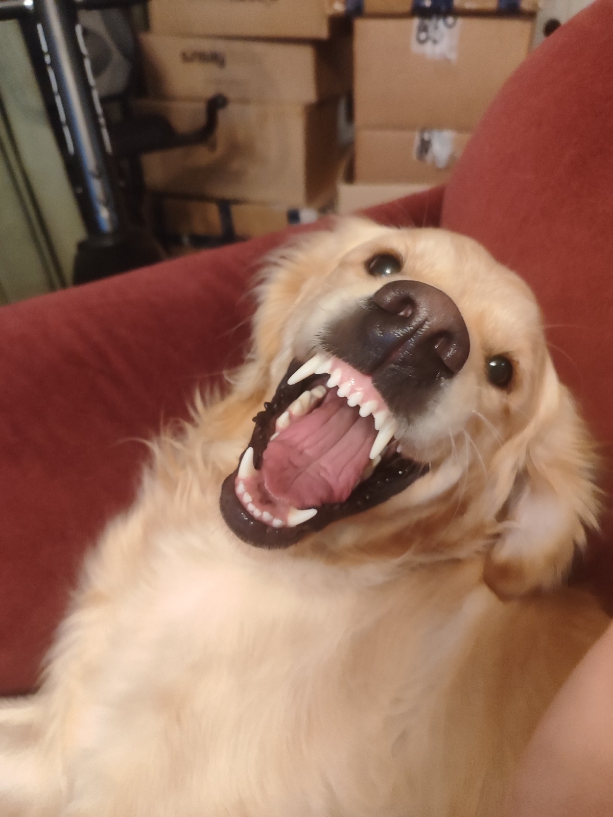 0e6525dc-27d9-4ee9-af0d-8b318b5109e8