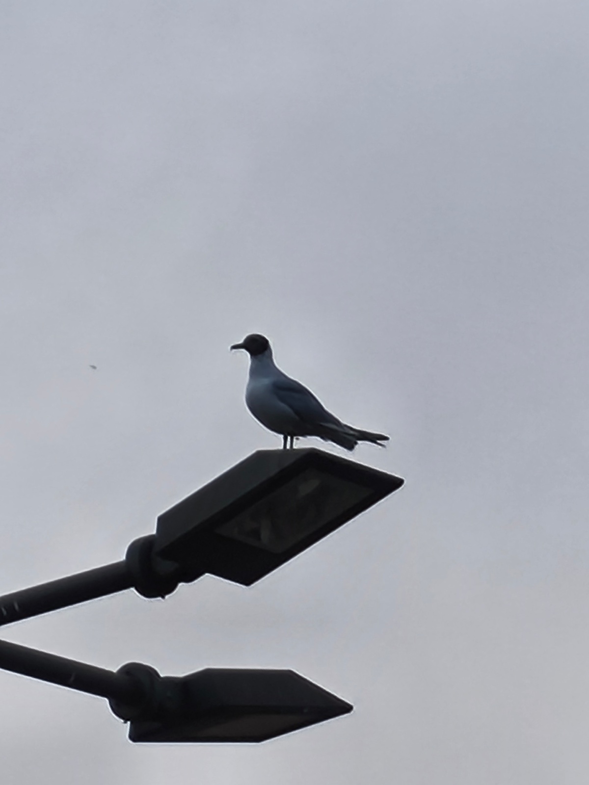 589a1b3c-7cd8-442d-84ae-c8505929e2eb