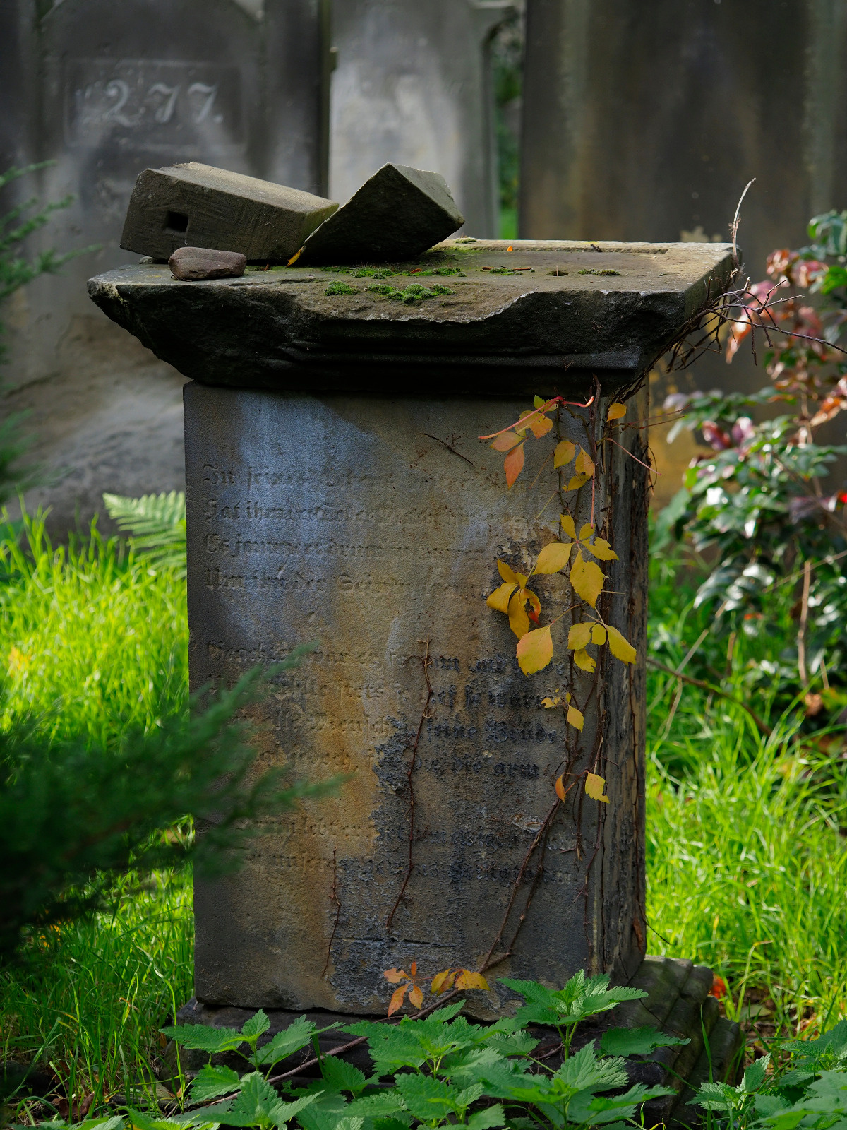 e7a4a05d-8101-4eb4-93d2-585edf18181f