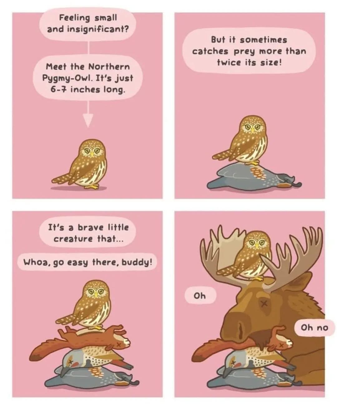 01122191-f859-44b9-b3cc-9da927d39f97