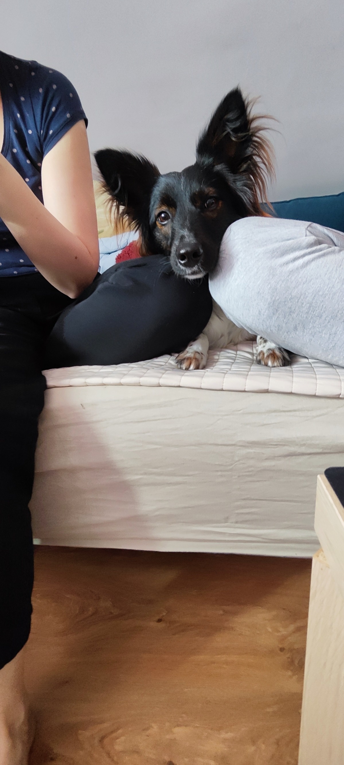 428c0965-be2d-4e04-bdb5-02d148c57c2f