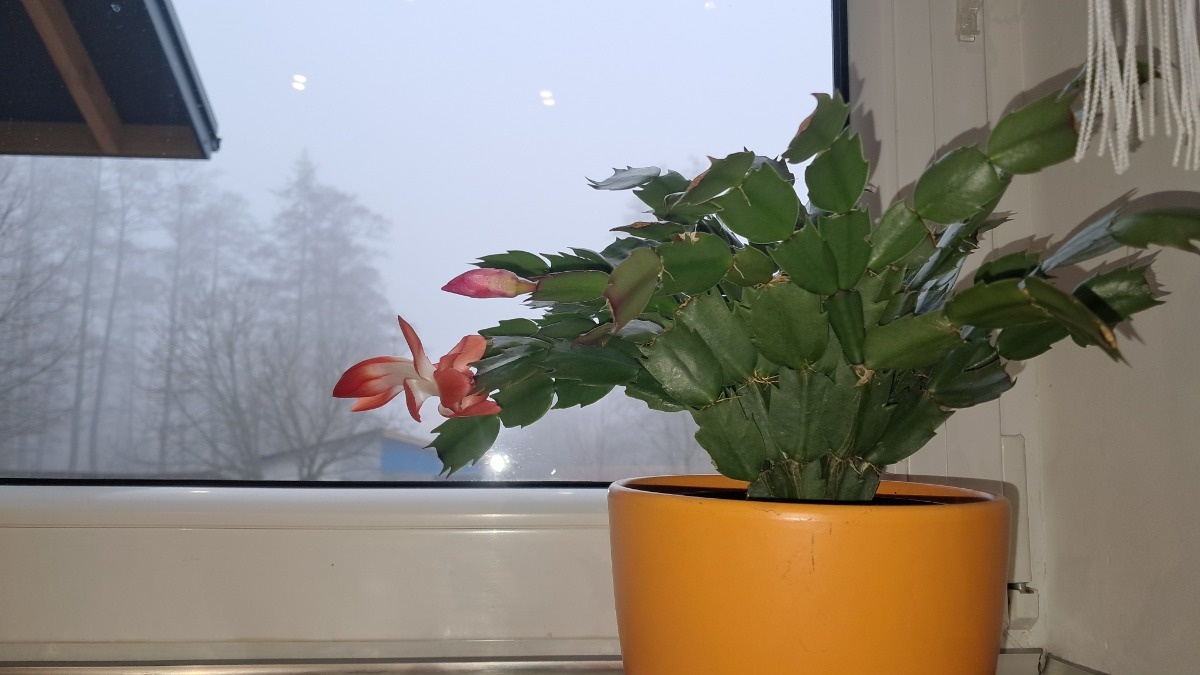 7582c720-11fc-4158-806c-8d0c70e8cc30