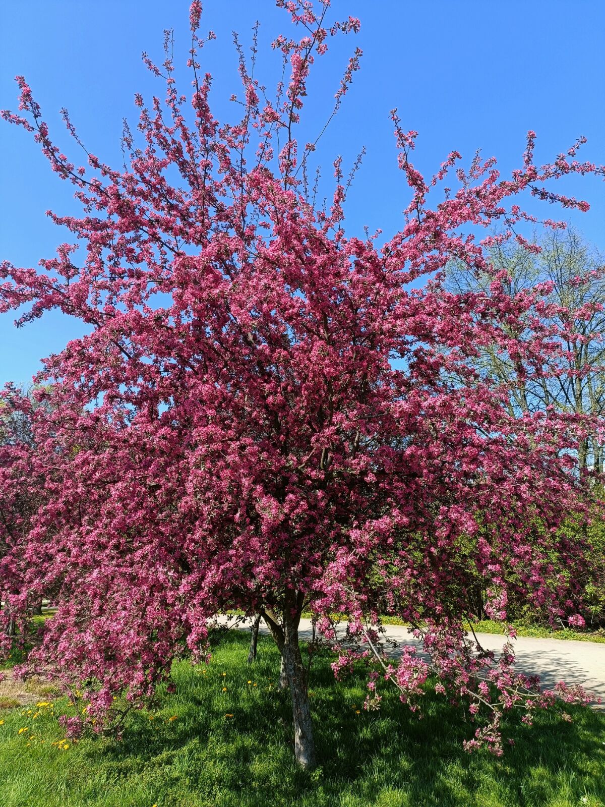 73f6e83e-fe87-4d2e-91fa-246bd959360c