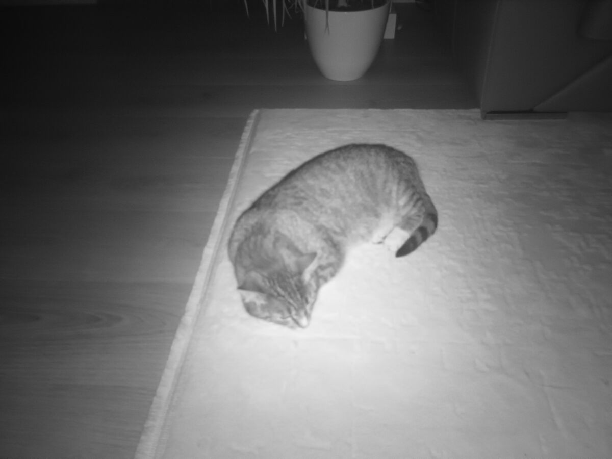 a8d33fc8-3e06-463b-b777-05c06ce04abc